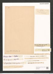 Nitzschia angularis W. Sm. (de-Toni-Nr.: Genus 47, Species 2086) Zeichnungen Sammlung Grunow (NHMW-BOT-W0372008)